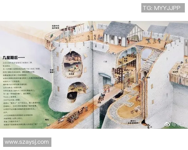 凯尔特人历史、文化与遗产的传承：从古代部落到现代社会的变迁与影响